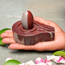 2 Inch Natural Ardhnareshwar Narmadeshwar Shivling with 4 Inch Red & White Plate Jaladhari