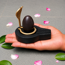 2 Inch Mahamritunjay Narmadeshwar Shivling with 4 Inch Black Plate Jaladhari & Golden Naag