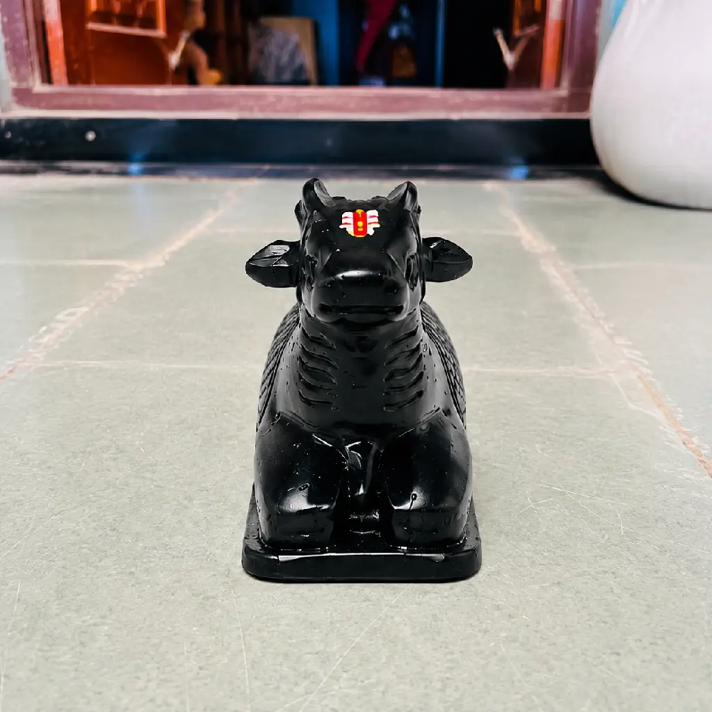 5inch nandi 2.webp