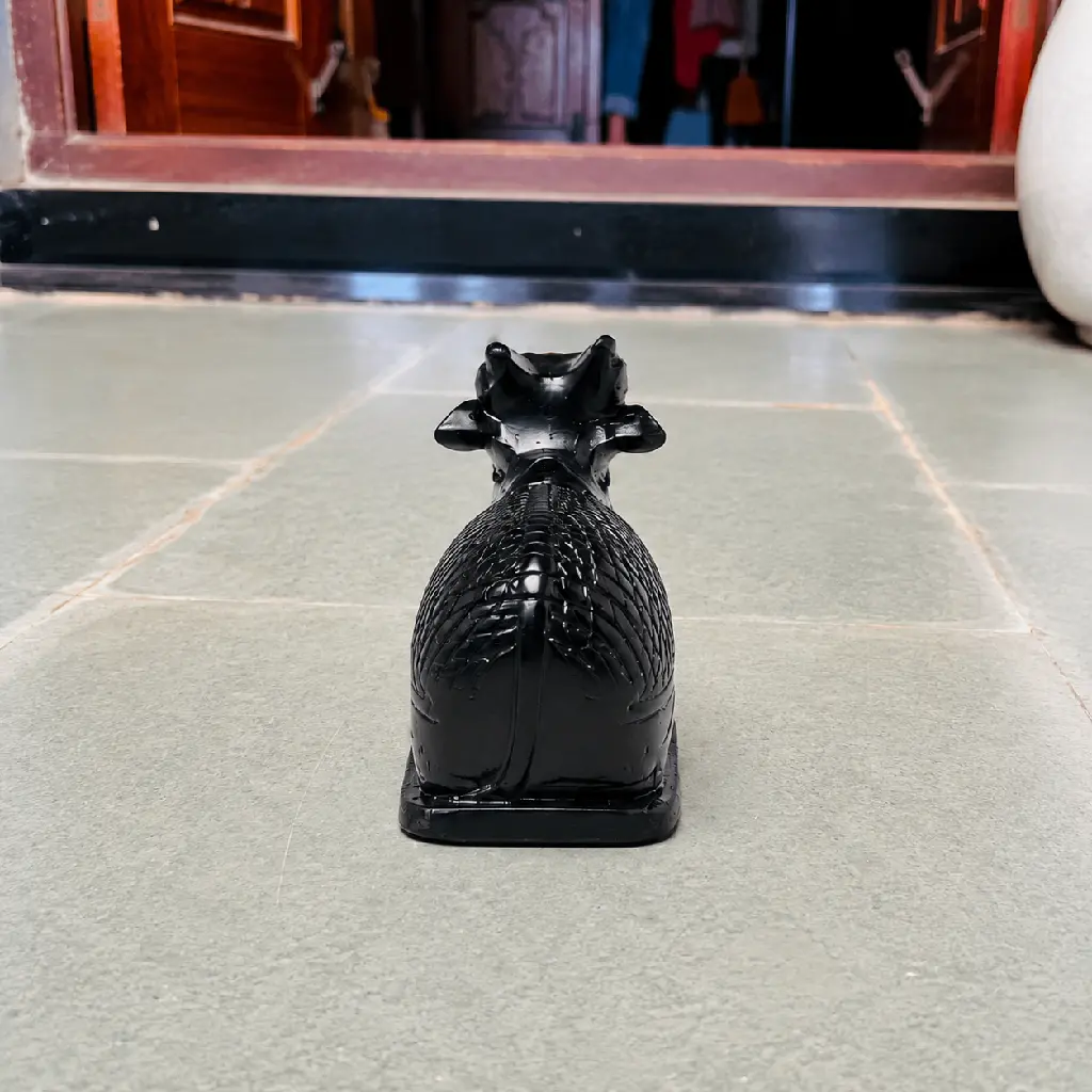 5inch nandi4.webp