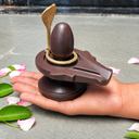 Swayambhu Narmadeshwar Shivling with Naag | 2 Inch Natural Shivling & 4 Inch Brown Narmada Stone Jaladhari for Peace, Prosperity & Success