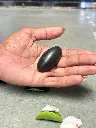 narmada shivling k7.webp