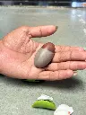 narmada shivling k6.webp
