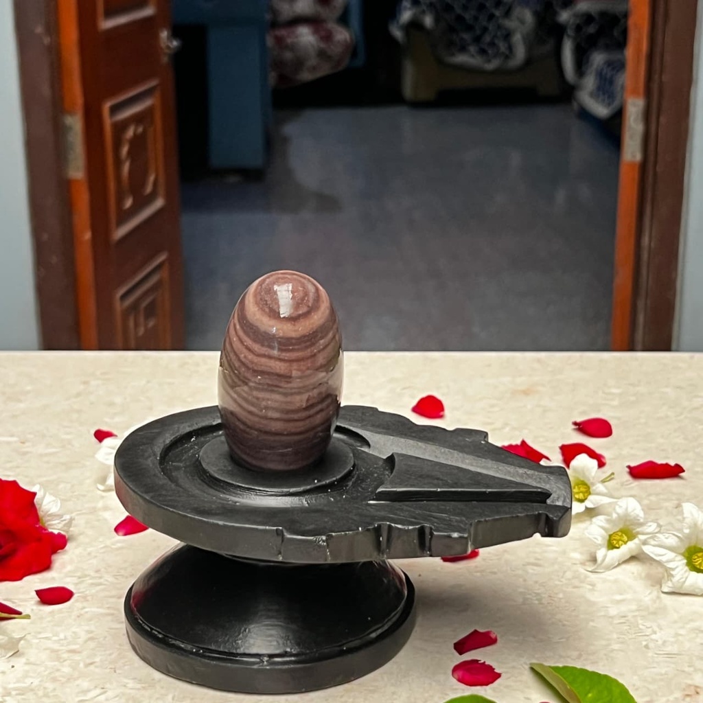 3 Inch Natural Narmadeshwar Shivling with 6 Inch Jaladhari | Original Narmada Stone Shivling for Home & Temple Puja