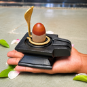 2 Inch Mahamritunjay Narmadeshwar Shivling with 4 Inch Black Sqaure Jaladhari & Golden Naag