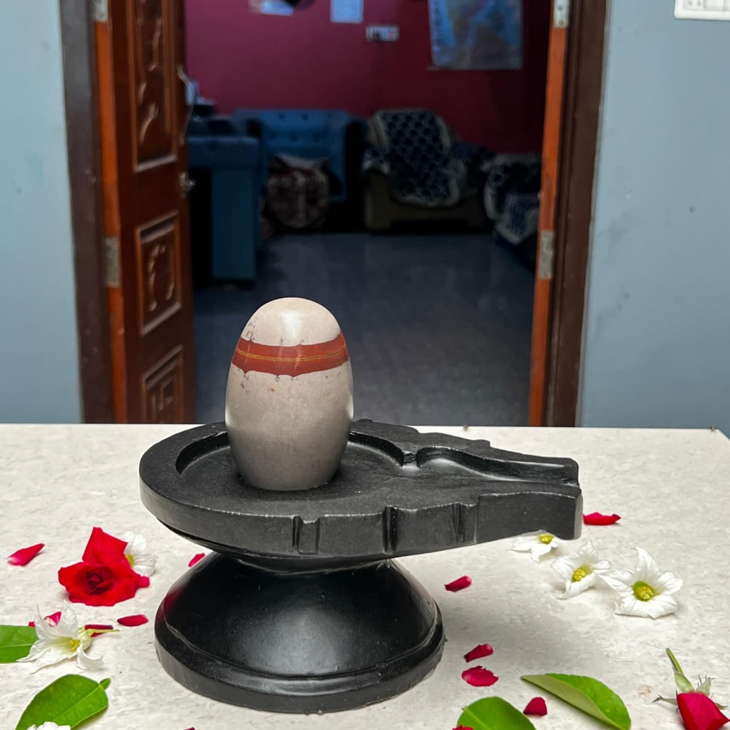 4 Inch Natural Narmadeshwar Shivling with 8 Inch damru Jaladhari